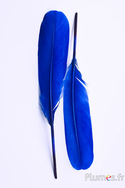 Cygne Soie - 25-30 cm - bleu